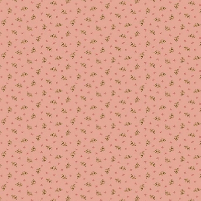 фото  ткань для пэчворка    new sprig blush    by edyta sitar 