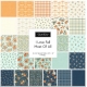 Тканина I Love Fall Most Of All 56140-11 Warm White by Deb Strain for Moda Fabrics
