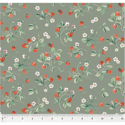 Тканина Robin Strawberries  53842-3 